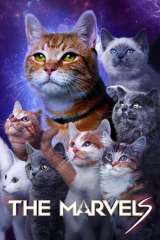 The Marvels poster 24