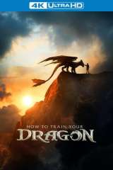 How to Train Your Dragon poster 22