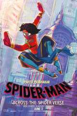 Spider-Man: Across the Spider-Verse poster 12