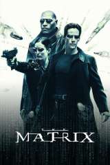 The Matrix poster 19