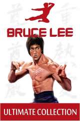 Enter the Dragon poster 46