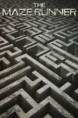The Maze Runner poster 8