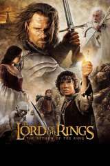 The Lord of the Rings: The Return of the King poster 10