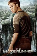 The Maze Runner poster 16
