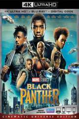 Black Panther (2018)