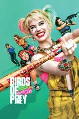 Birds of Prey (and the Fantabulous Emancipation of One Harley Quinn) poster 6