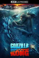 Godzilla vs. Kong poster 26