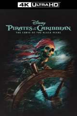 Pirates of the Caribbean: The Curse of the Black Pearl poster 21