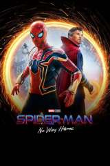 Spider-Man: No Way Home poster 7