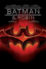 Batman & Robin poster 5