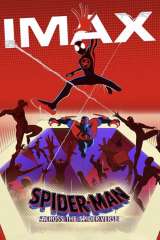 Spider-Man: Across the Spider-Verse poster 20