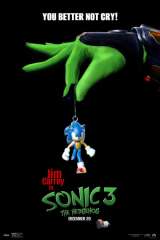 Sonic the Hedgehog 3 poster 104
