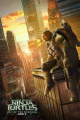 Teenage Mutant Ninja Turtles: Out of the Shadows poster 9