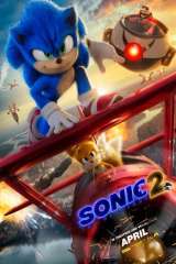 Sonic the Hedgehog 2 poster 5