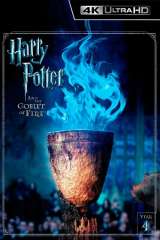 Harry Potter and the Goblet of Fire poster 12