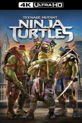 Teenage Mutant Ninja Turtles poster 11
