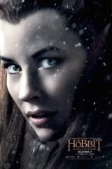 The Hobbit: The Battle of the Five Armies poster 6