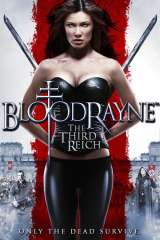 BloodRayne: The Third Reich poster 7