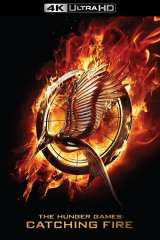 The Hunger Games: Catching Fire poster 8