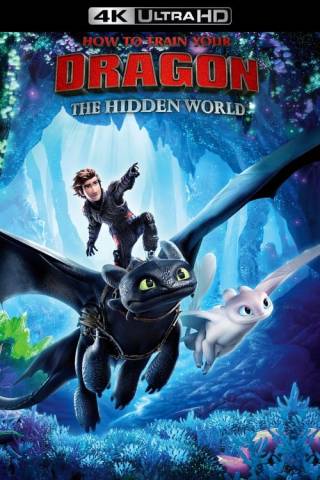 How to Train Your Dragon: The Hidden World (2019)