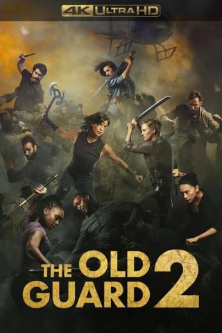 The Old Guard 2 (2025)