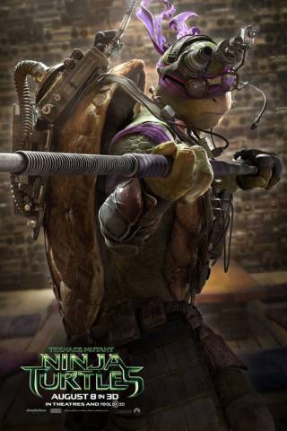 Teenage Mutant Ninja Turtles (2014)