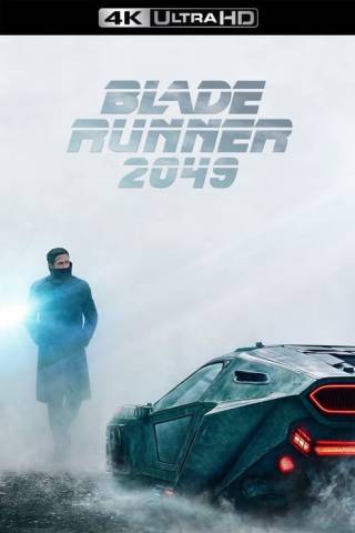 Blade Runner 2049 (2017)