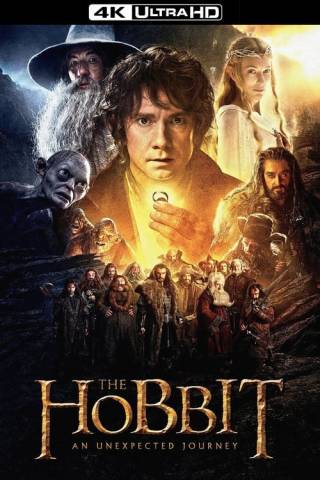 The Hobbit: An Unexpected Journey (2012)