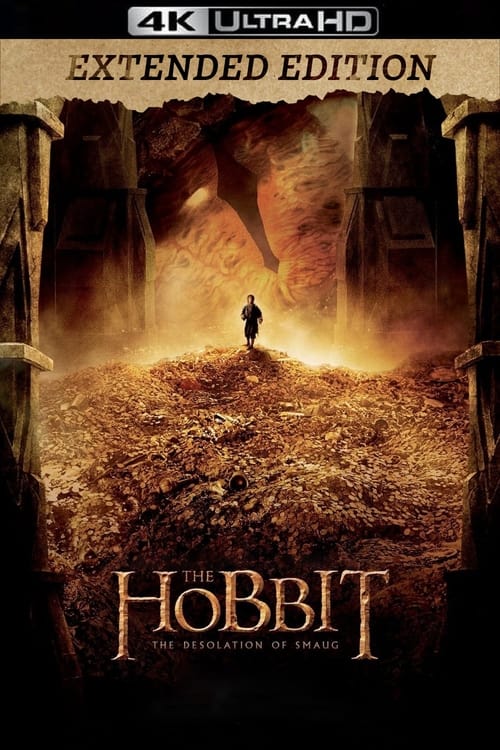 The Hobbit: The Desolation of Smaug (2013)